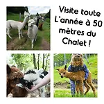 Le Vintage * لابْريسْ