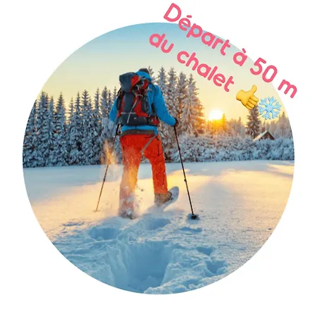 Le Vintage شاليه *