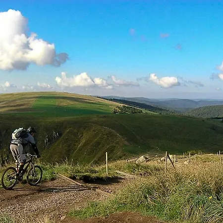 Le Vintage * 라브레세