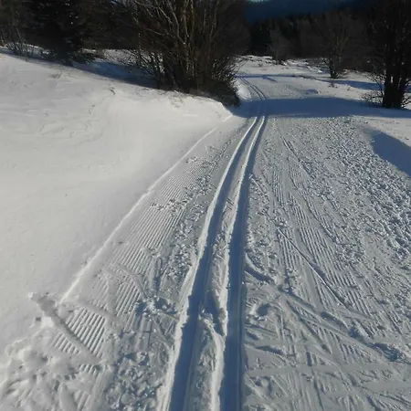 Le Vintage Alpehytte La Bresse