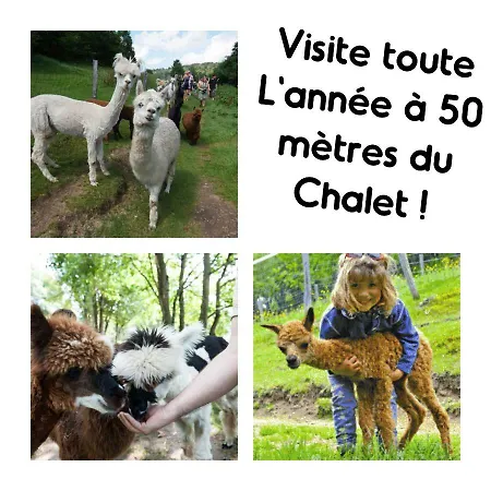 Le Vintage * La Bresse
