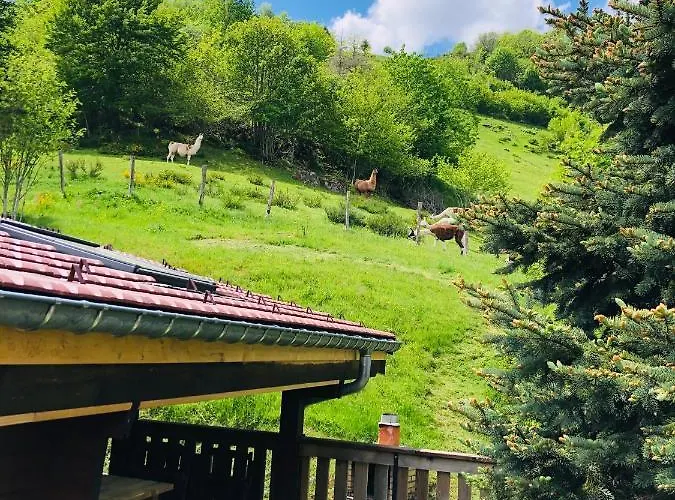 Le Vintage La Bresse