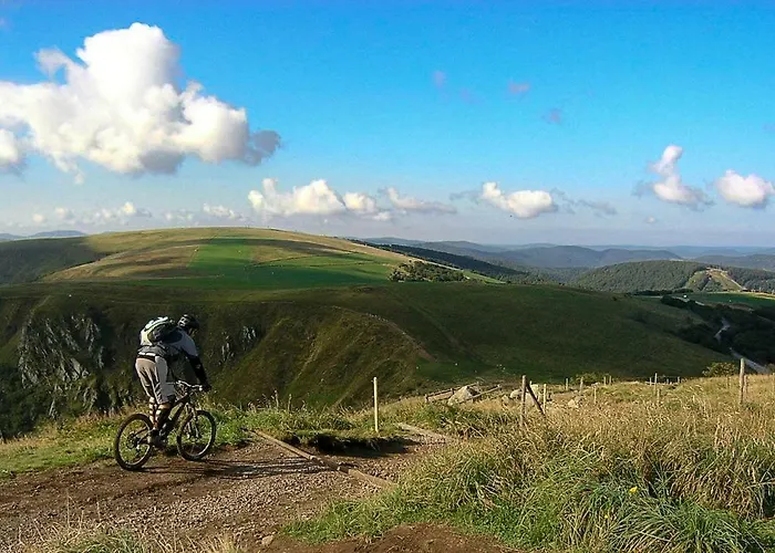 Le Vintage * La Bresse