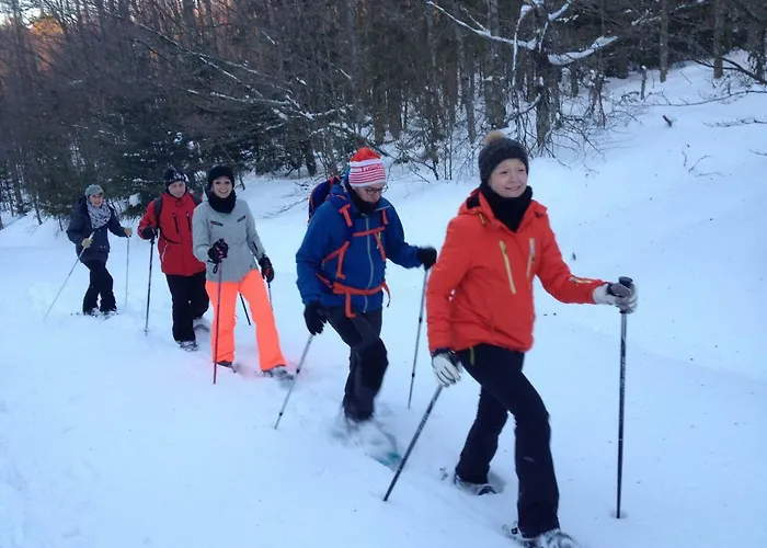 Le Vintage * La Bresse