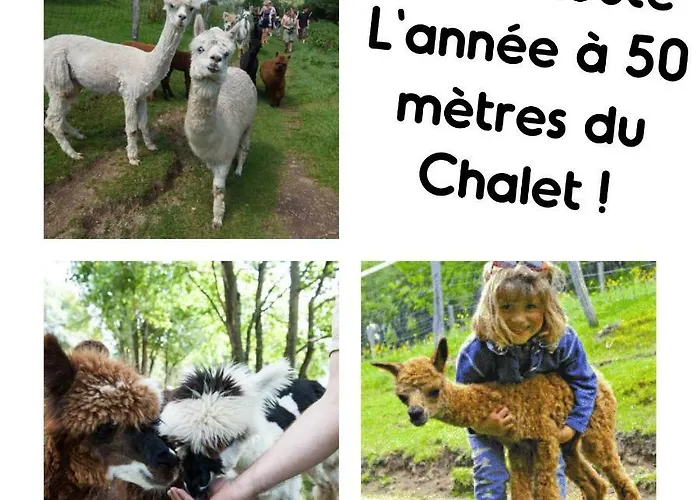 Le Vintage * La Bresse